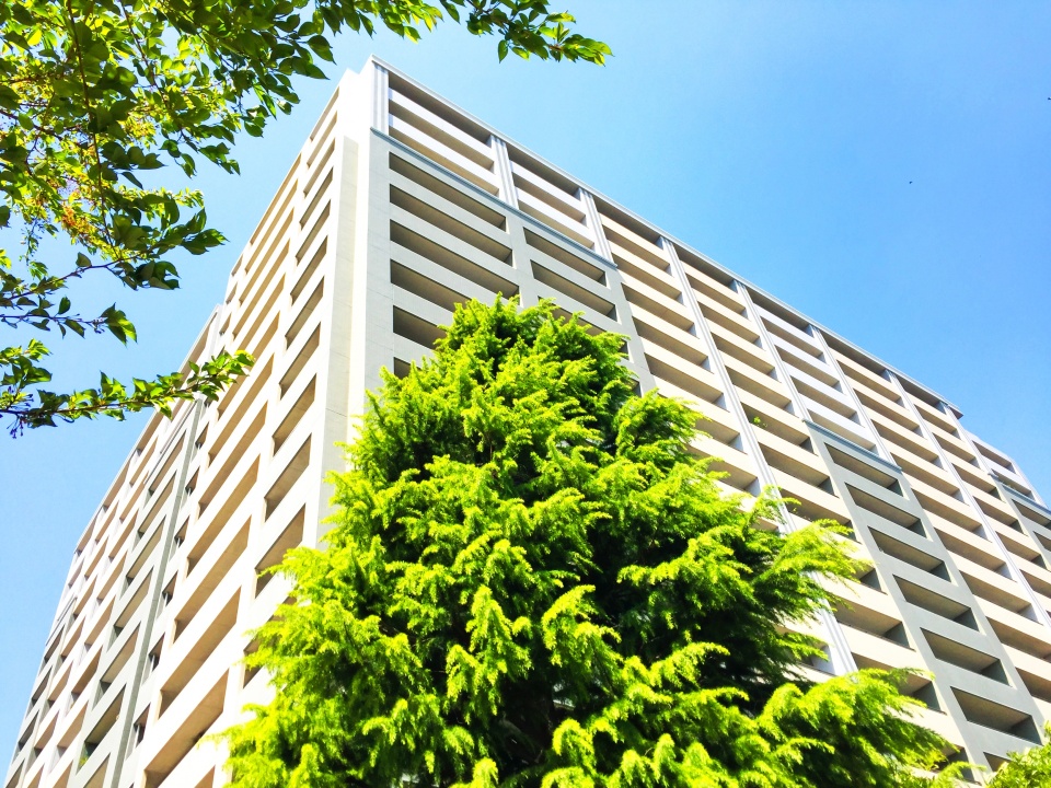 京田辺市水取御苗代における土地査定のノウハウ