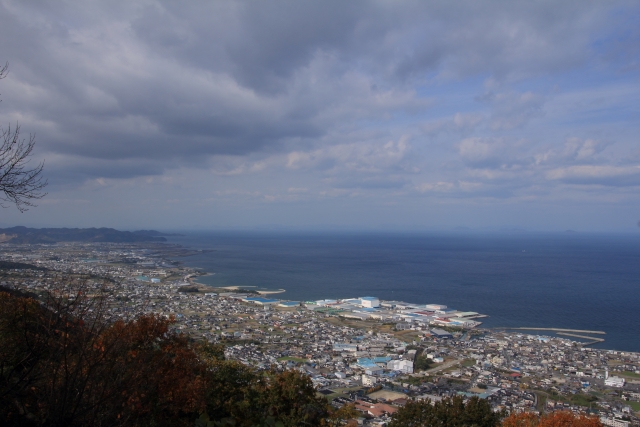 八幡市戸津中代のメイン画像